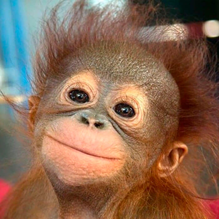 centro contra el dolor